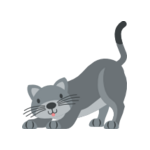 Grå katt 2